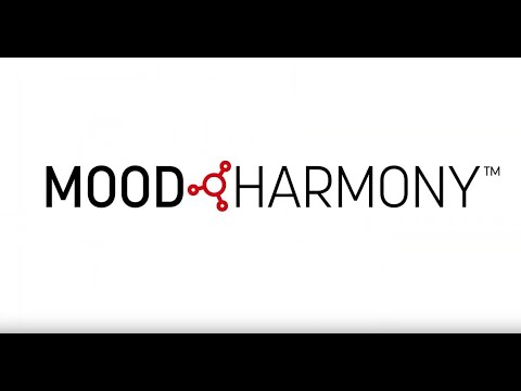 Mood Harmony Brand Experience Platform